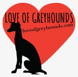 Greyhound Clipart Transparent - Dog