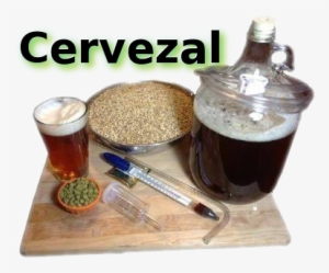 Procesos Básicos Para Hacer Cerveza - Beer