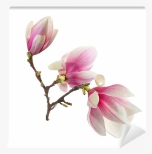 Вешалка-ключница Milarte Лайн, 30 Х 25 Х 5 См. Klvd-108008