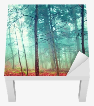 Colorful Mystic Autumn Trees Lack Table Veneer • Pixers®