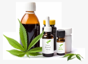 More Hemp And Cannabis Related Food Products In Europe - Cannabis Tincture