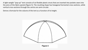 Calculus Question - Essay