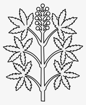 Details, Png - Art