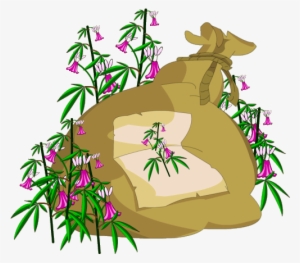 Sack Of Hemp Flowers - Illustration