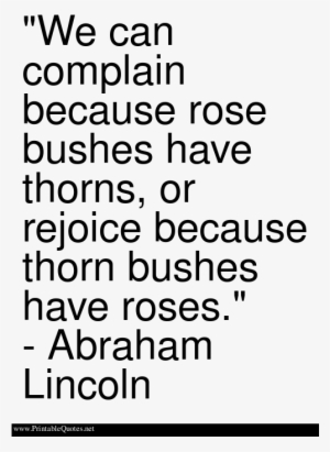 We Can Complain Because Rose Bushes Have Thorns, Or - Rose