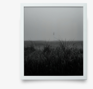Fog Fescue Giclée Print - Picture Frame
