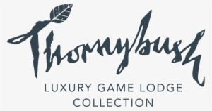 Thornybush Game Lodge - Thornybush Game Lodge Logo