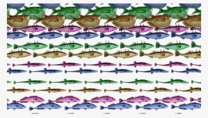 4 Animated Fish In 4 Colors - Umbrella