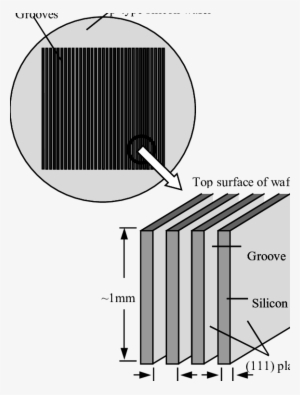 Long Thin Silicon Slices Are Supported By The Wafer - Neoconcrete Regatta / Day And Night