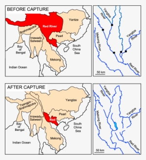 Cartoon After Clark Et Al - River