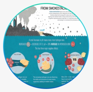 Effects Of Ocean Acidification Info Graphic By Deanna - Ocean Acidification National Research Council