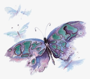 Watercolor Butterfly - Pink And Purple Watercolor Butterfly