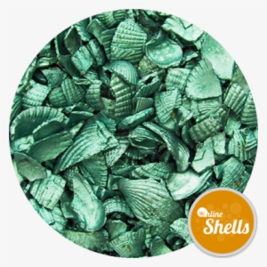 Recycled Coloured Shell - Color