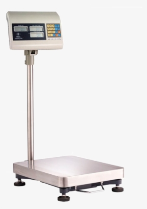 Configurar La Tecla Tara De La Balanza Excell Lap 300kg - Weighing Scale