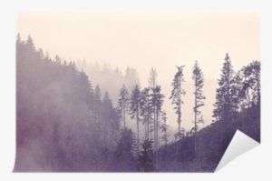 Go To Image - Photography