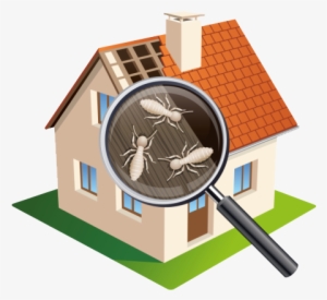 Termite Inspection Services Brickers Lansdale Pa 2 - Termite Inspection