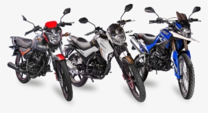 Conoce Todos Nuestros - Moto Serpento 180