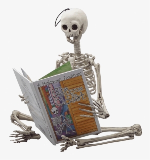 3 Foot Pose-able Skeleton Doll - Skeleton In The Closet - A Halloween Tradition