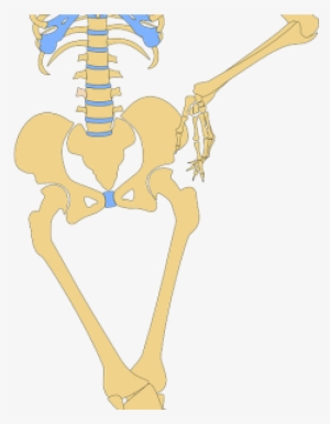 Daily Funny 3/27/16 - Skeleton With Hands On Hips