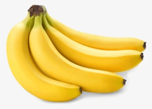 Musa Paradisiaca Volver A Productos - Bunch Of Bananas