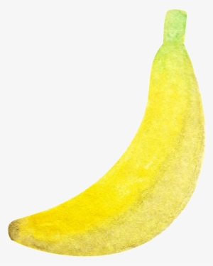 Pintado A Mano De Acuarela Un Plátano Fruta Png Transparente - Saba Banana