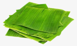 Hojas De Plátano Distribuidor Mayorista De Hojas De - Imagenes De Hojas De Platano