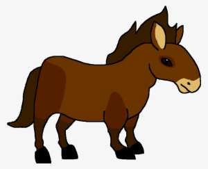 Icelandic Horse - Horse