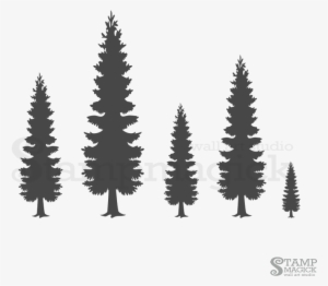 Pine Tree Decal