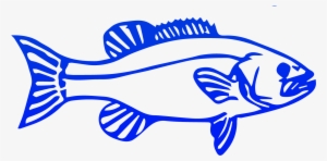 Fish, Download Png - Election
