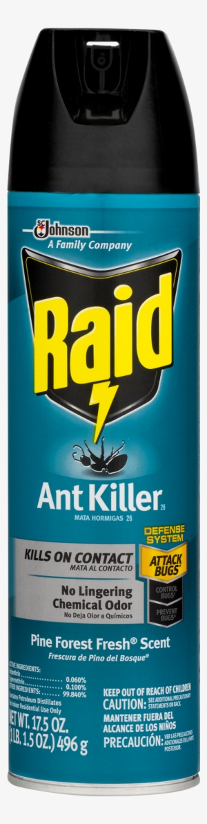 Raid Ant & Roach Killer Fragrance Free 17.5 Oz
