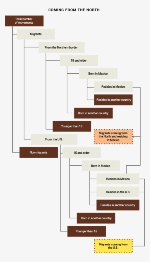 Survey Of Migration At Mexico´s Southern Border - Diagram