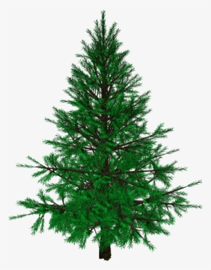 Xmastree - Christmas Tree
