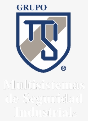 Multisistemas Guardias De Seguridad,empresa De Seguridad - Multisistemas De Seguridad Industrial
