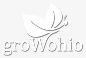 Con Te Ne Vale Sempre La Pena