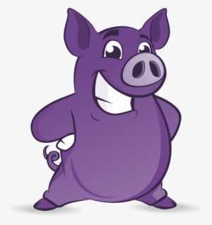Purple Pig