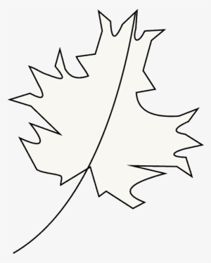 How To Draw Maple Leaf - Emblem