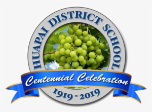 Celebrating 100 Years - Huapai District School