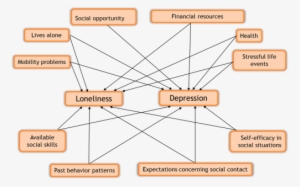 This Study Focused On Three Particular Factors - Model Of Depression And Loneliness