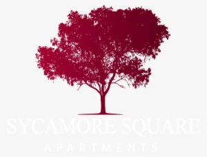 Sycamore Square - Australian Gum Tree Silhouette