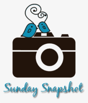 Camera Icon Png Free