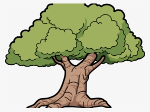 Tree Clipart Clipart Sycamore Tree - Oak Clipart