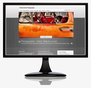 Patricia-monitor - Computer Monitor