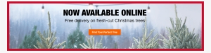 Fresh-cut Christmas Trees - Tree