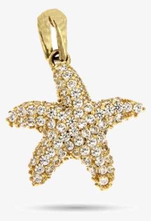 Dijes De Estrellas De Mar De Oro