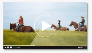 Farming Has Long Been The Backbone - Wellness