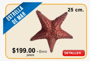 Estrella De Mar - Siyam Symbol
