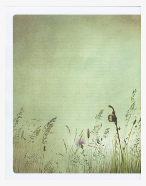 Alice Illustrated Around The World - Grass