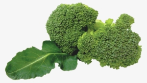 Broccoli - Broccoli Png