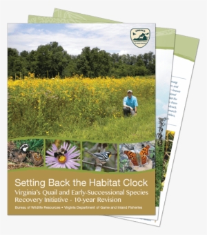 Virginia, Setting Back The Habitat Clock