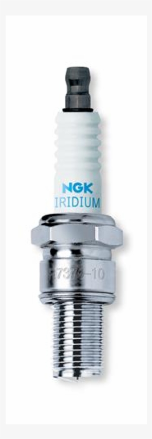 Ktm Sxs Spark Plug 125 / 150 Sx (sxs02125071)